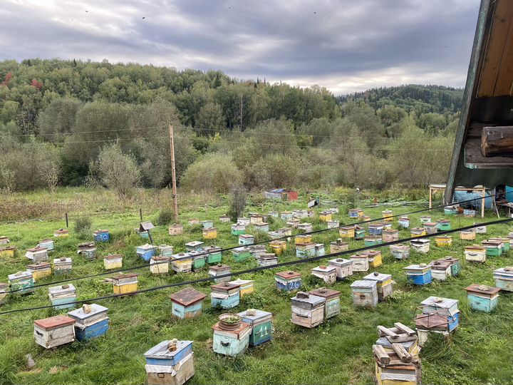 Участок 20 сот. (ИЖС)