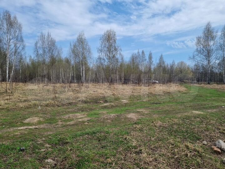 Участок 11,6 сот. (ИЖС)