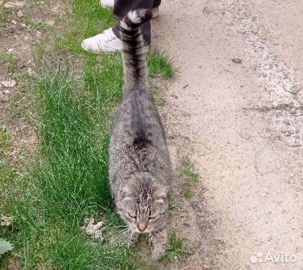 Ждёт улица
