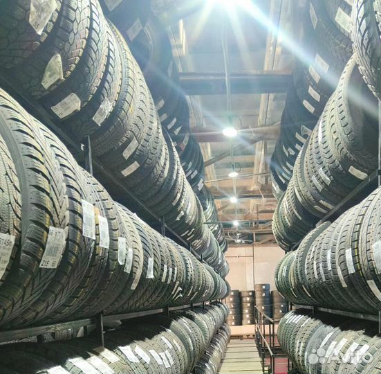 Dunlop Winter Maxx WM02 215/50 R17 91P