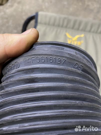 Audi a6 c6 allroad пыльник пневмо стойки