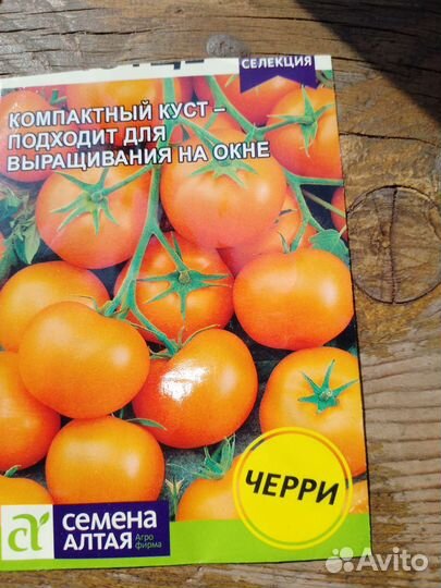 Комнатные помидоры