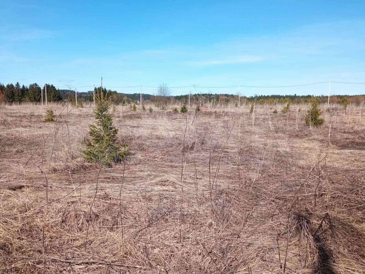 Участок 10 сот. (СНТ, ДНП)