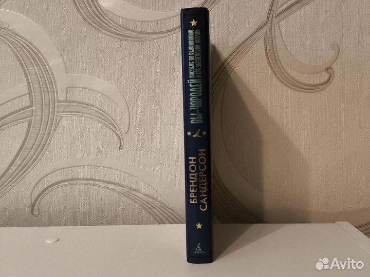 Вы-чародей Брендон Сандерсон