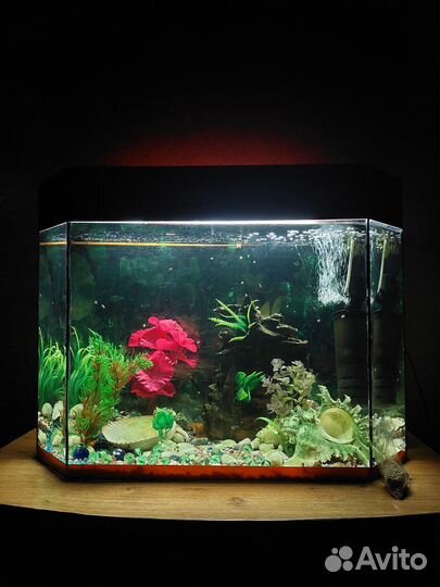 Украшение для аквариума