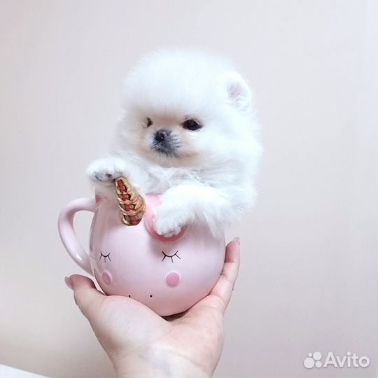 Микро малыш