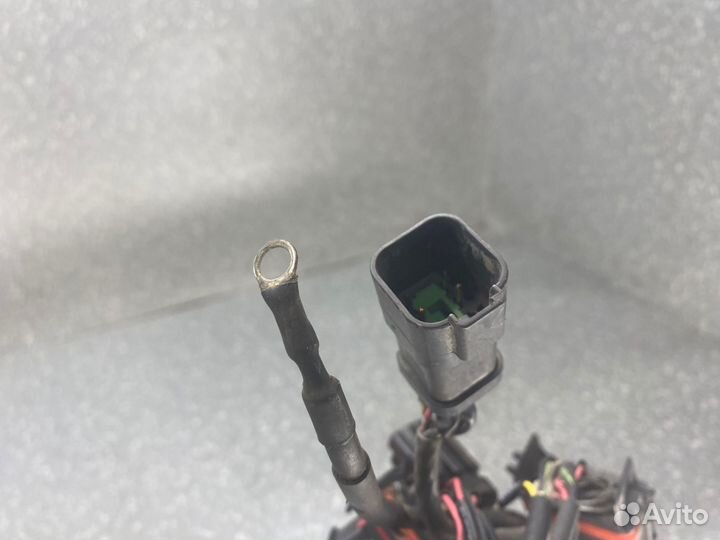 2033809 Жгут электропроводки системы впрыска XPI