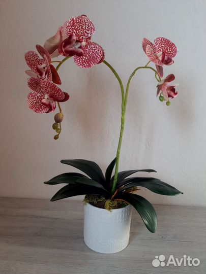 Композиция из искусственных орхидей (1 ветка)