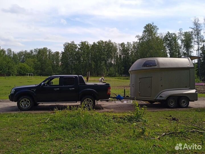 Перевоз лошадей