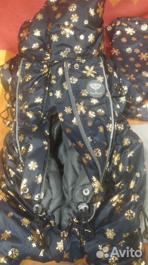 Костюм на собаку