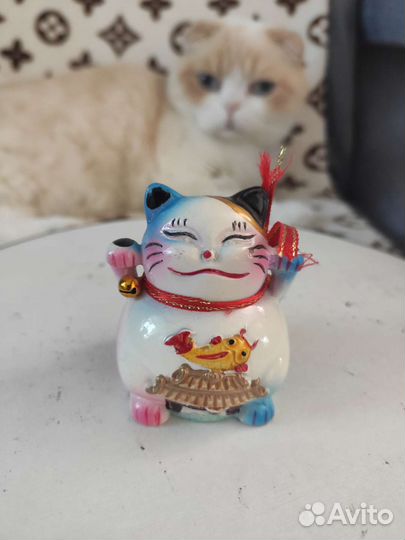 Сувенир кот