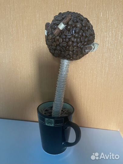 Топиарий - кофейное дерево