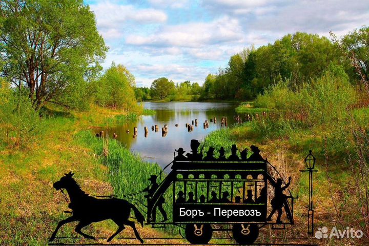 Экскурсия на Моховые горы