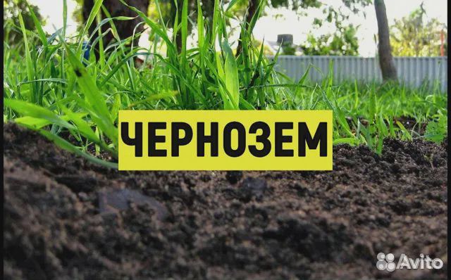 Земля Черная, плодородный слой - Газель,ЗИЛ, Камаз