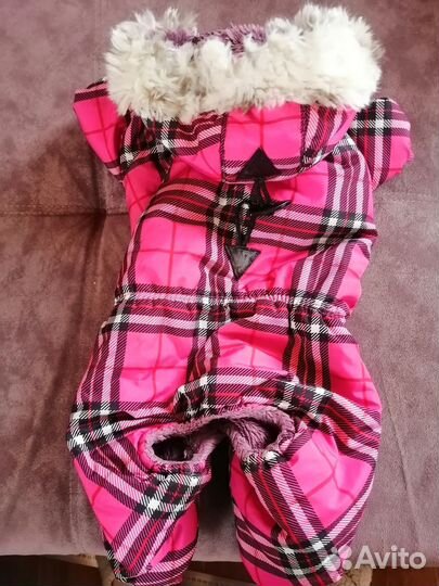 Зимний комбинезон для маленькой собачки