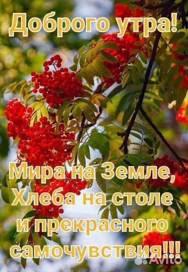 Женские вещи пакетом 50 52