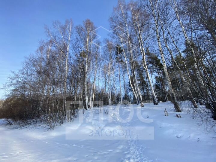 Участок 12,1 сот. (ИЖС)