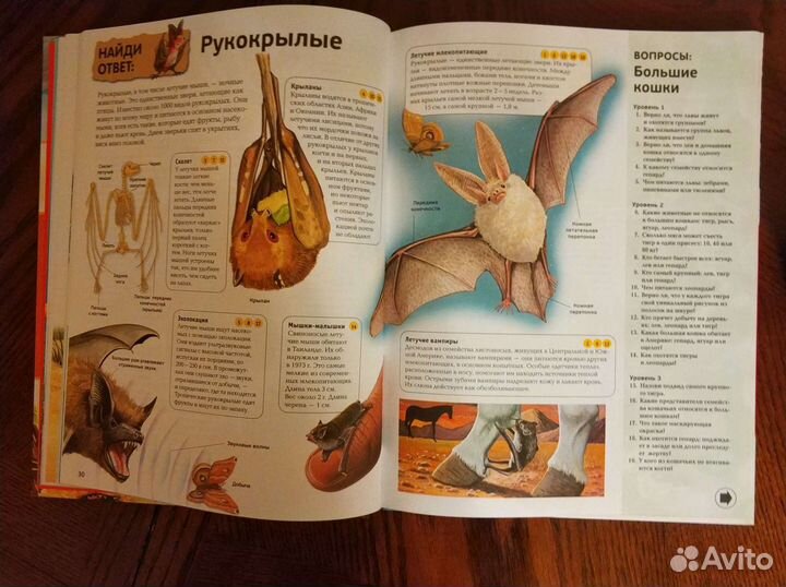 Энциклопедии для школьников