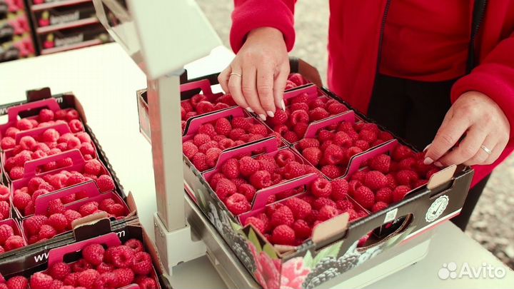 Вахта разнорабочий