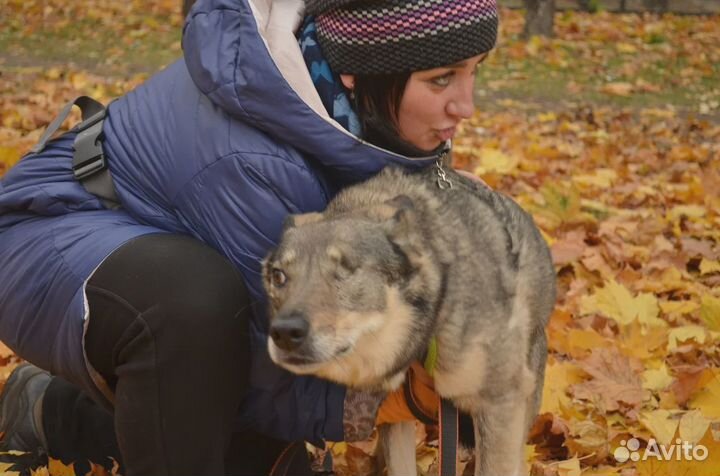 Глаша-собака с неограниченными возможностями