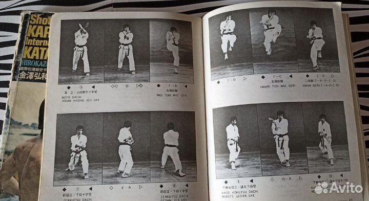 Хирокадзу Канадзава ката 2 тома