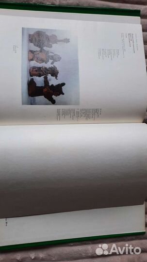 Альбом по искусству Молдавской сср