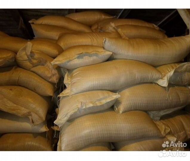 Пшеница, ячмень, овес