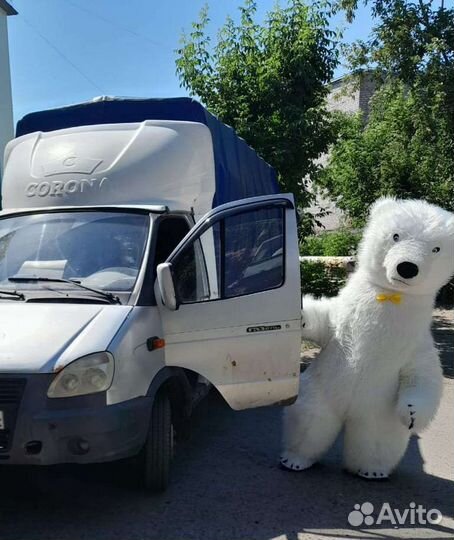 Поздравление от мишки