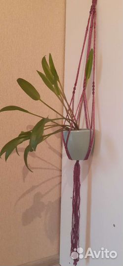 Макраме.Подвес для кашпо.Ручная работа