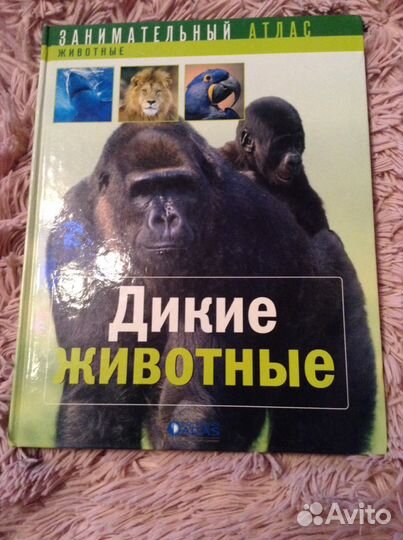 Занимательные атласы