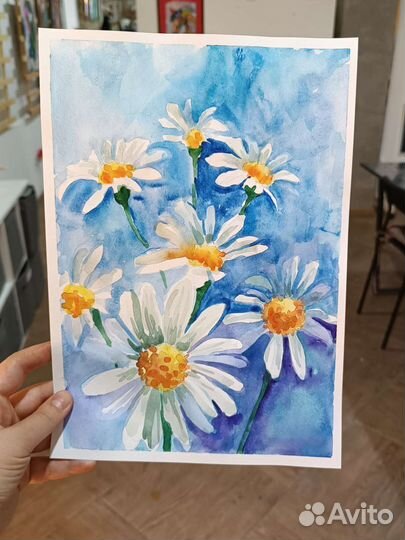 Этюд акварелью, Ромашки