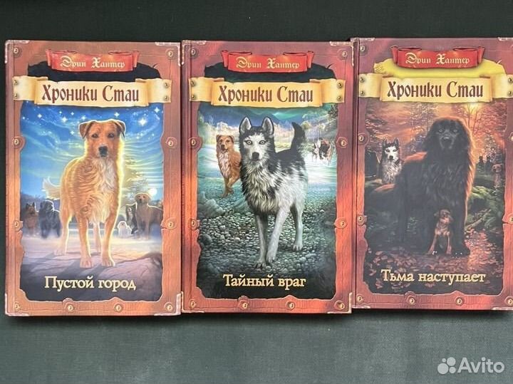 Книги Коты воители Пророчество сз, Хроники стаи