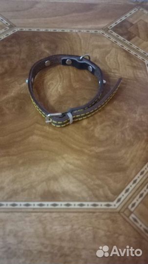 Ошейник для собак