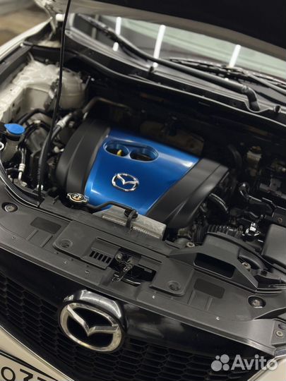 Профессиональная хмчистка салона