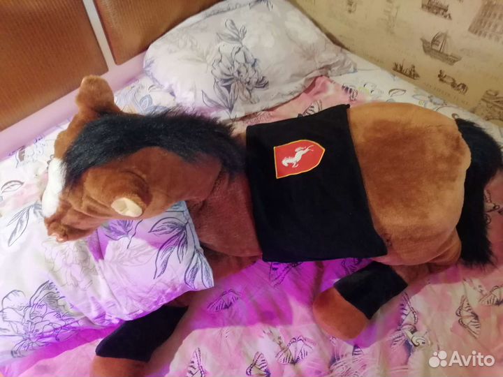 Молодой конь Юлий