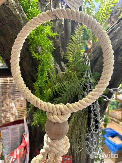 Кольца для птиц