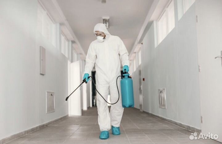 Дезинфекция Дезинсекция Дератизация