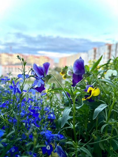 1-к. квартира, 35,9 м², 6/9 эт.