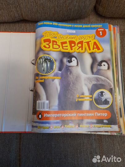 Журналы и DVD 