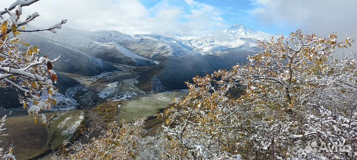 Охота на кабана,косулю,утку,гуся