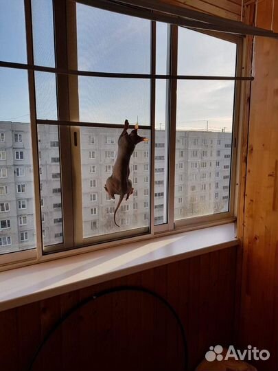 Ремонт окон пвх. Частный мастер. Москитные сетки