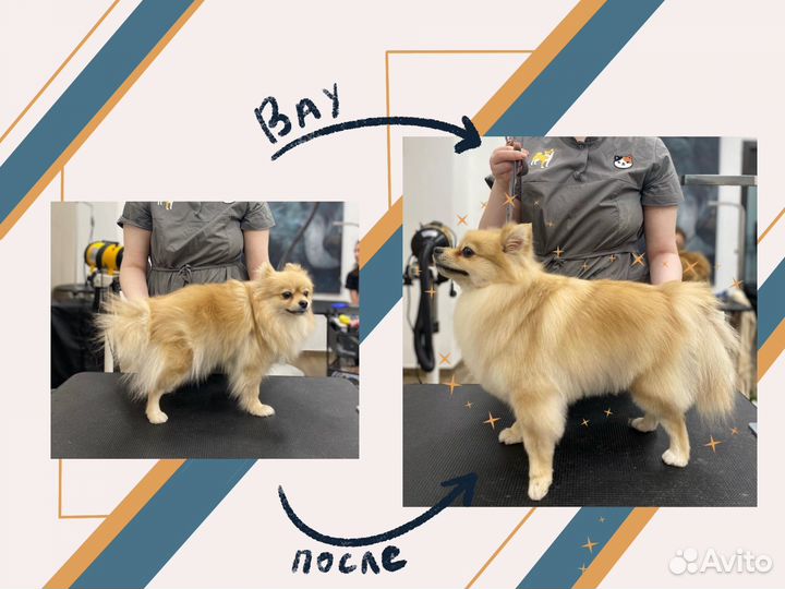 Стрижка собак. Комплекс