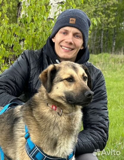 Обнимательный друг томится в приюте