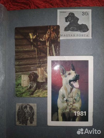 Календарики этикетки СССР собаки голуби растения