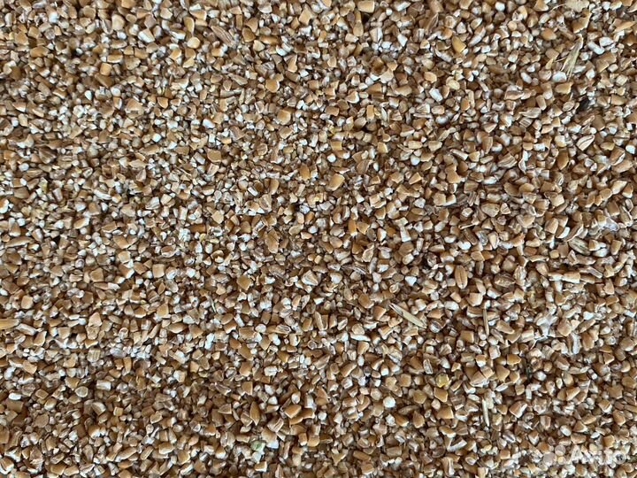 Комбикорм и зерно