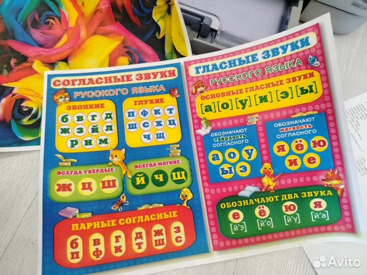 Цветной лазерный принтер samsung clp-310