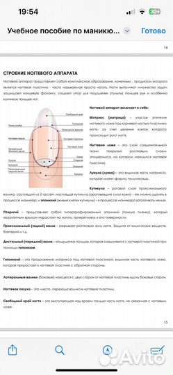 Методические пособие доя маникюра