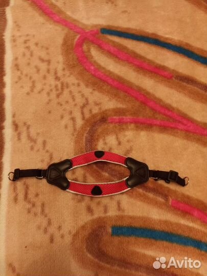 Шлейка для мелких пород собак
