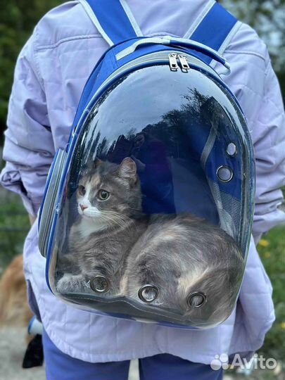 Сумка-переноска для кошек