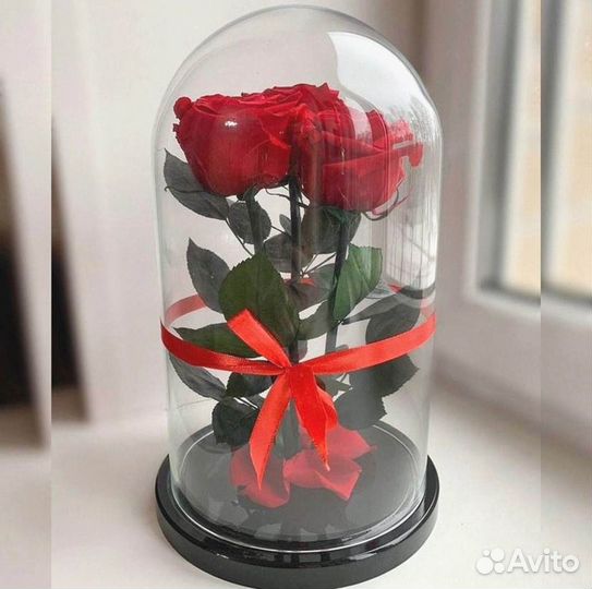 Роза в колбе